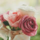 NASHVILLE FLOWER MARKET | WHOLESALE FLOWERS | WEDDING FLOWERS